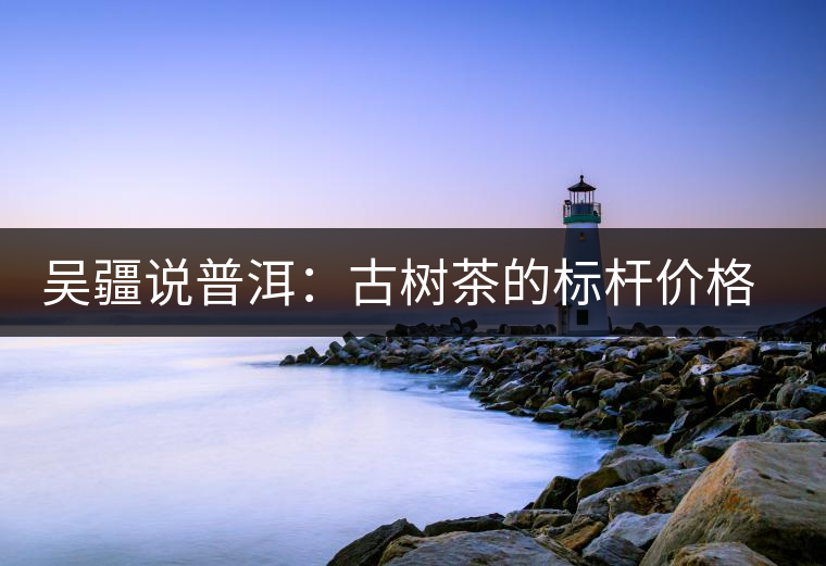 吳疆說(shuō)普洱：古樹(shù)茶的標(biāo)桿價(jià)格在哪里？