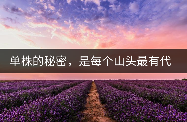 單株的秘密，是每個山頭最有代表性的味道？