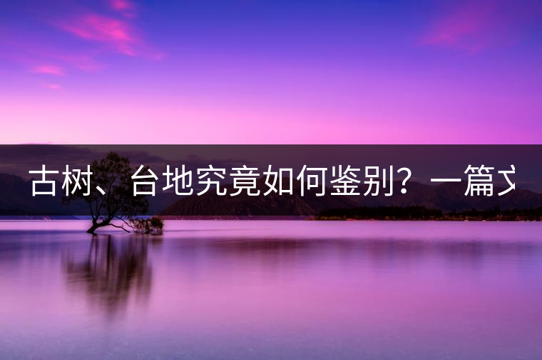古樹、臺地究竟如何鑒別？一篇文章說透！