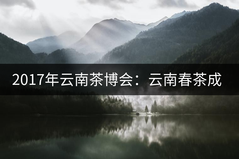 2017年云南茶博會(huì)：云南春茶成品茶價(jià)格上漲，平均每公斤達(dá)94.31元