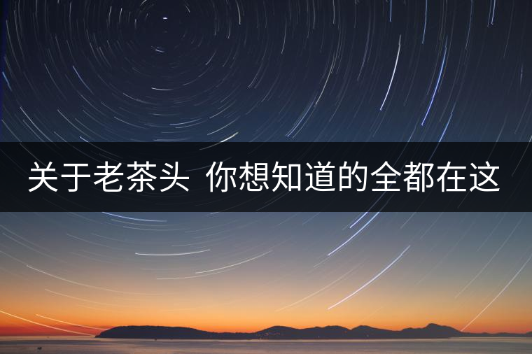 關(guān)于老茶頭  你想知道的全都在這兒啦！