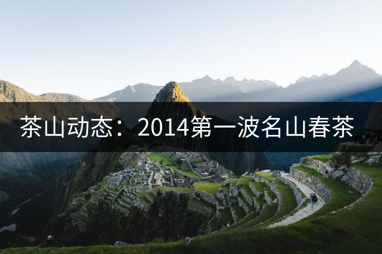 茶山動(dòng)態(tài)：2014第一波名山春茶價(jià)格