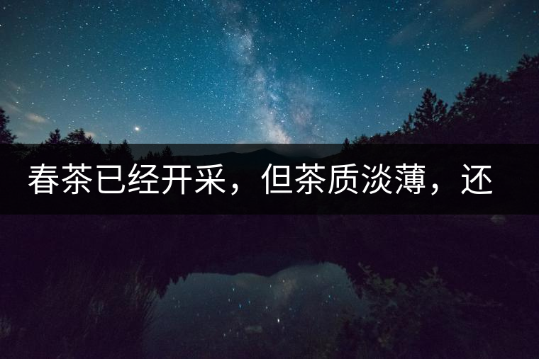 春茶已經(jīng)開采，但茶質(zhì)淡薄，還需一兩周
