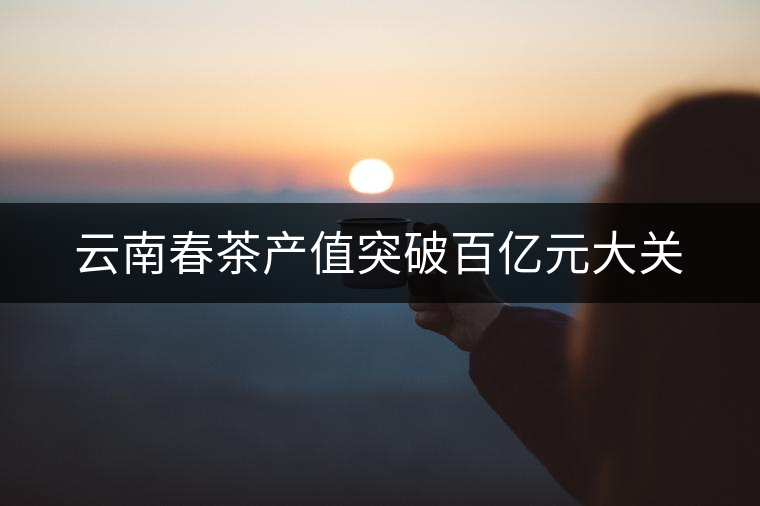 云南春茶產(chǎn)值突破百億元大關(guān)