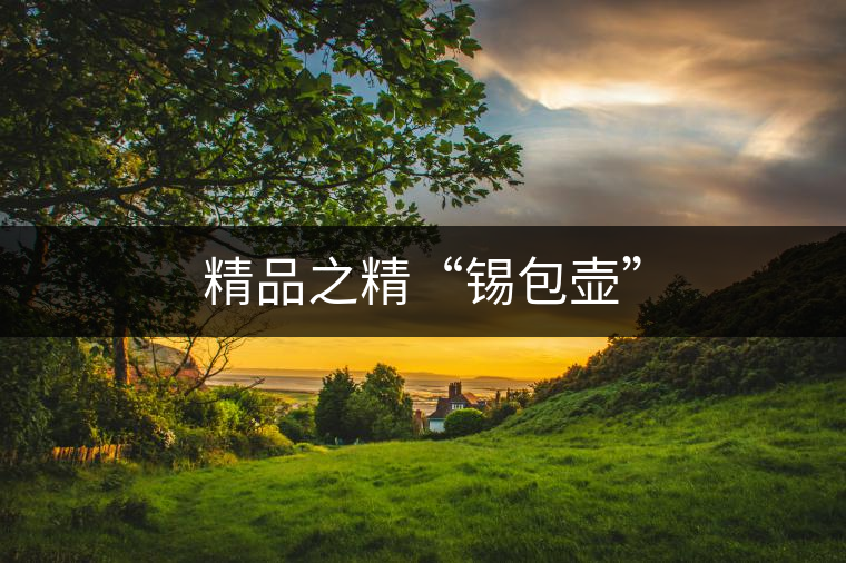 精品之精“錫包壺” 精品之精“錫包壺”