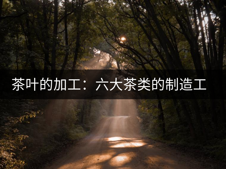 茶葉的加工:六大茶類的制造工藝簡(jiǎn)介 茶葉的加工:六大茶類的制造工藝簡(jiǎn)介