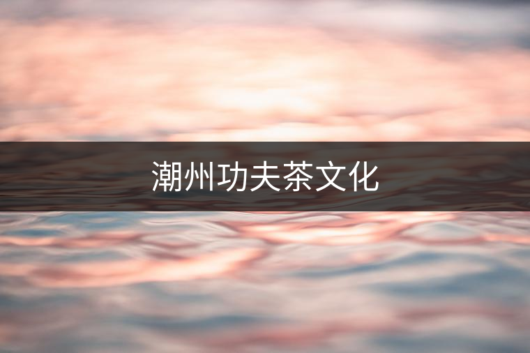 潮州功夫茶文化 潮州功夫茶文化