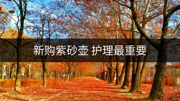 新購紫砂壺 護(hù)理最重要 新購紫砂壺 護(hù)理最重要