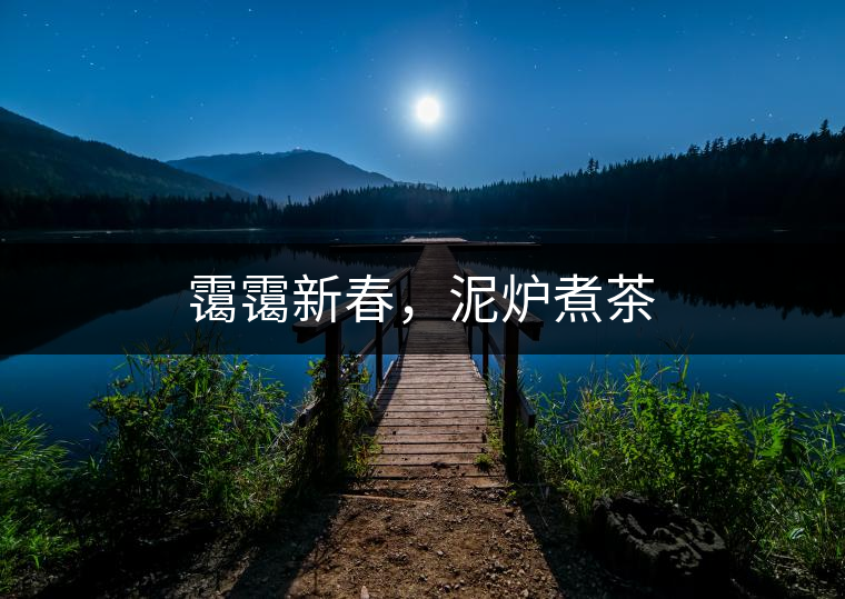 靄靄新春，泥爐煮茶