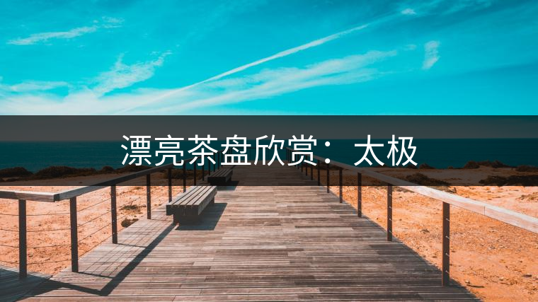 漂亮茶盤(pán)欣賞:太極 漂亮茶盤(pán)欣賞:太極