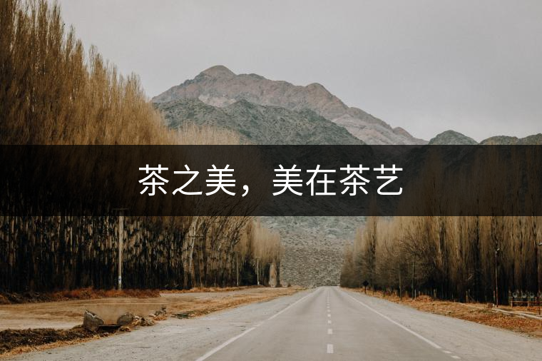 茶之美，美在茶藝