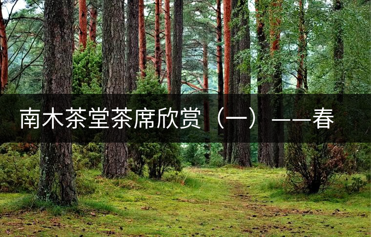 南木茶堂茶席欣賞(一)——春曉 南木茶堂茶席欣賞(一)——春曉