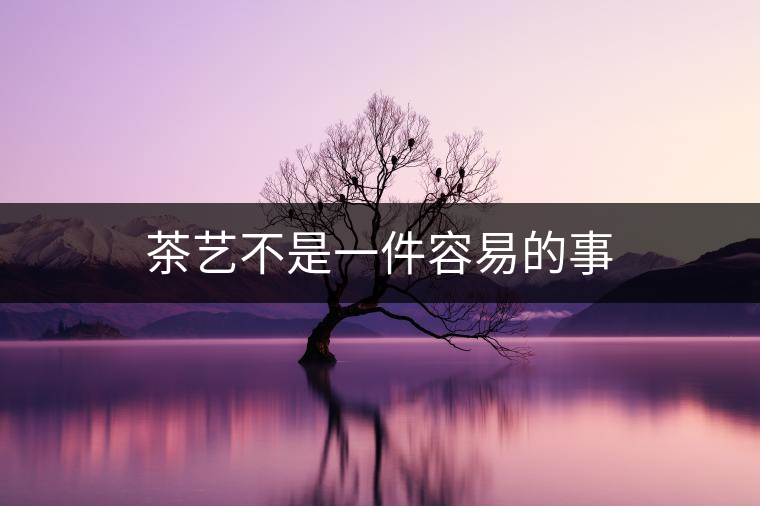 茶藝不是一件容易的事