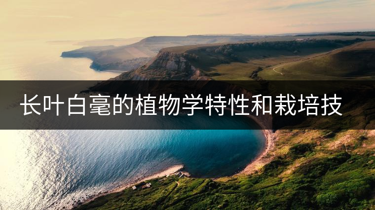 長葉白毫的植物學(xué)特性和栽培技術(shù)