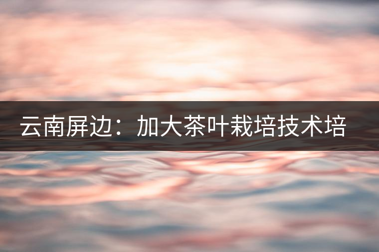 云南屏邊:加大茶葉栽培技術培訓 云南屏邊:加大茶葉栽培技術培訓