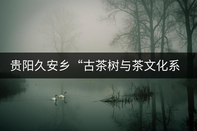 貴陽久安鄉(xiāng)“古茶樹與茶文化系統(tǒng)”入選中國重要文化遺產