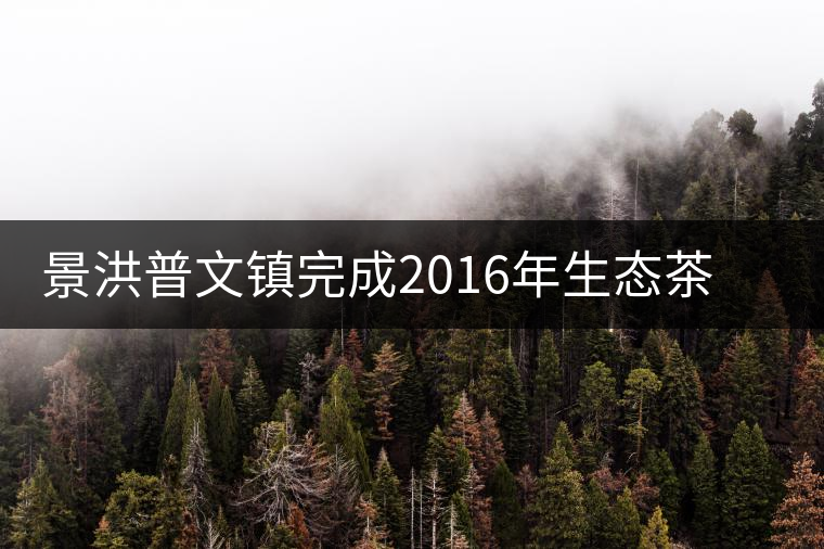 景洪普文鎮(zhèn)完成2016年生態(tài)茶園建設種苗發(fā)放