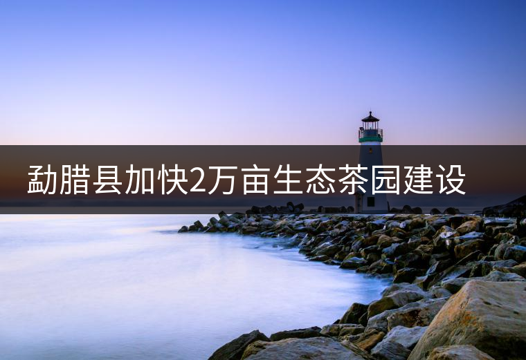 勐臘縣加快2萬畝生態(tài)茶園建設，促進茶葉產(chǎn)業(yè)持續(xù)發(fā)展