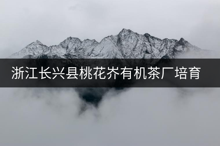 浙江長興縣桃花岕有機(jī)茶廠培育紫筍金茶獲成功 浙江長興縣桃花岕有機(jī)茶廠培育紫筍金茶獲成功