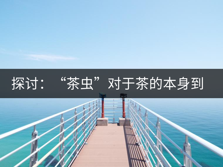 探討：“茶蟲”對于茶的本身到底是好是壞？