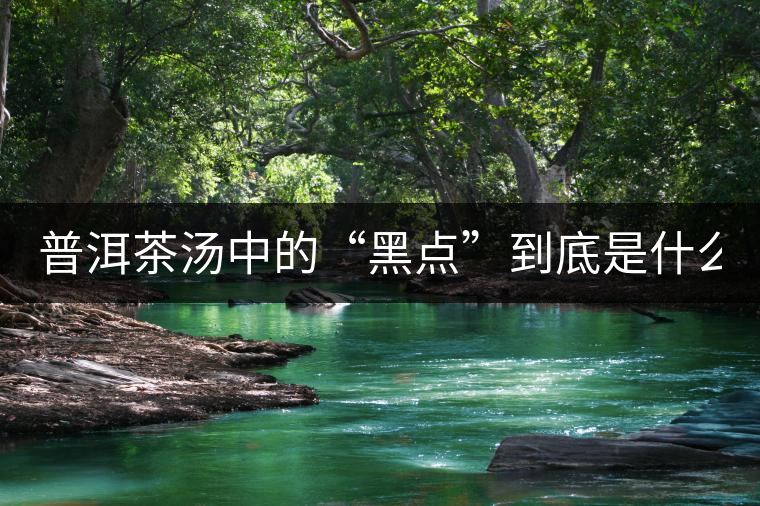 普洱茶湯中的“黑點”到底是什么？