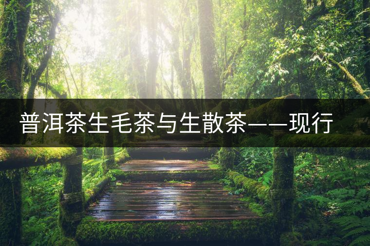 普洱茶生毛茶與生散茶——現(xiàn)行普洱茶標準的重要缺失 普洱茶生毛茶與生散茶——現(xiàn)行普洱茶標準的重要缺失
