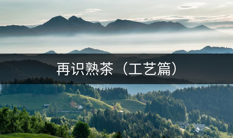 再識熟茶（工藝篇）