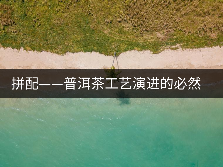 拼配——普洱茶工藝演進(jìn)的必然方向