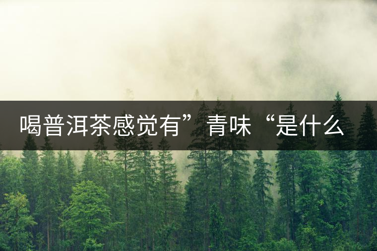 喝普洱茶感覺有”青味“是什么原因？