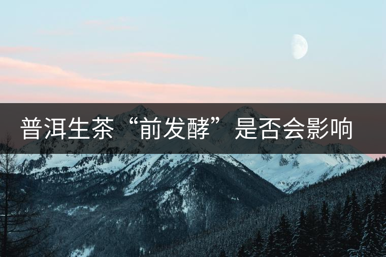 普洱生茶“前發(fā)酵”是否會(huì)影響后期的轉(zhuǎn)化？