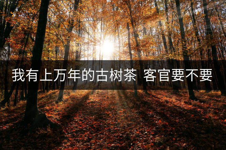 我有上萬年的古樹茶  客官要不要嘗嘗？