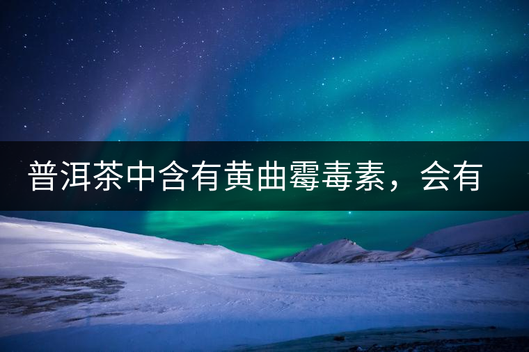 普洱茶中含有黃曲霉毒素，會有致癌的危險？終于有明確的答案了