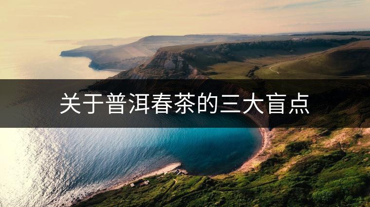 關(guān)于普洱春茶的三大盲點