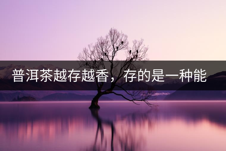 普洱茶越存越香，存的是一種能量