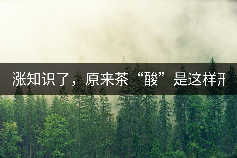 漲知識(shí)了，原來茶“酸”是這樣形成的！