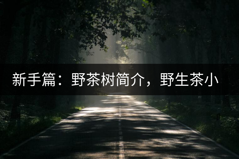 新手篇：野茶樹簡介，野生茶小知識