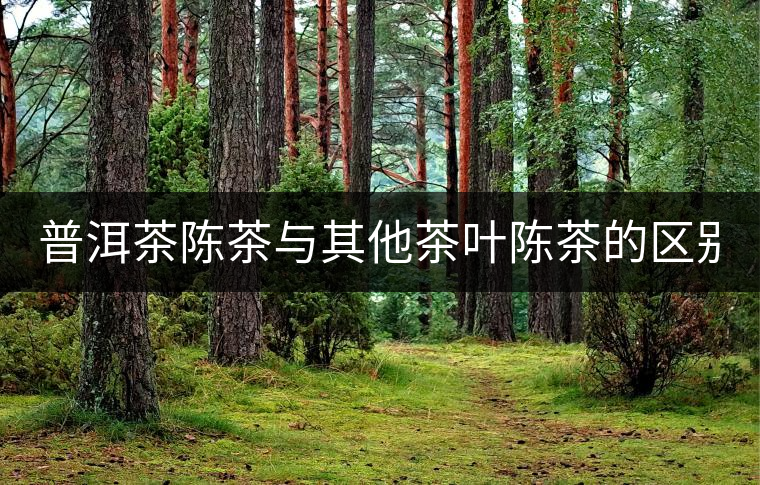 普洱茶陳茶與其他茶葉陳茶的區(qū)別！