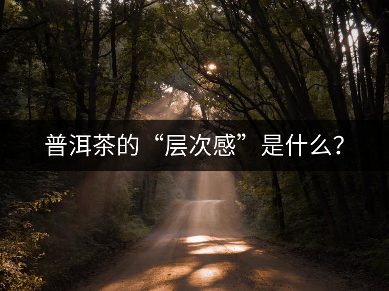 普洱茶的“層次感”是什么？