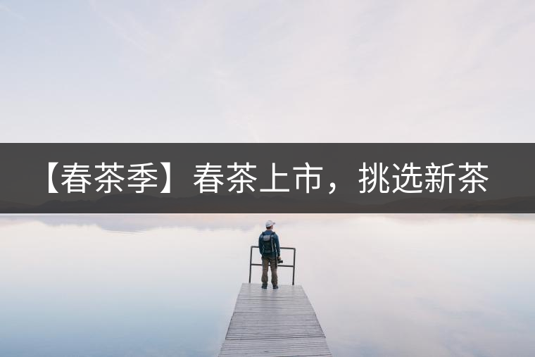 【春茶季】春茶上市，挑選新茶有講究