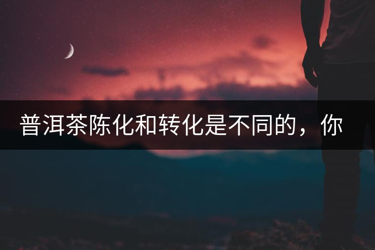 普洱茶陳化和轉(zhuǎn)化是不同的，你造嗎？