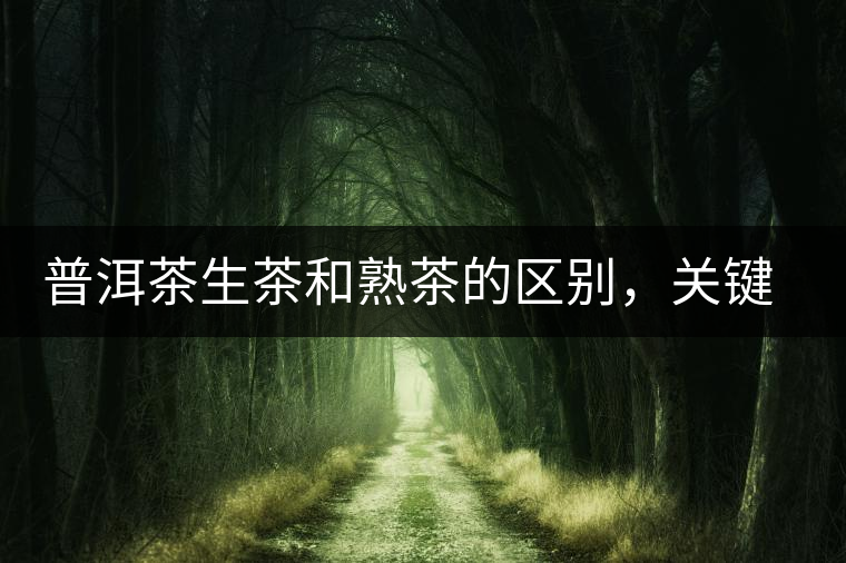 普洱茶生茶和熟茶的區(qū)別，關(guān)鍵在于前半生