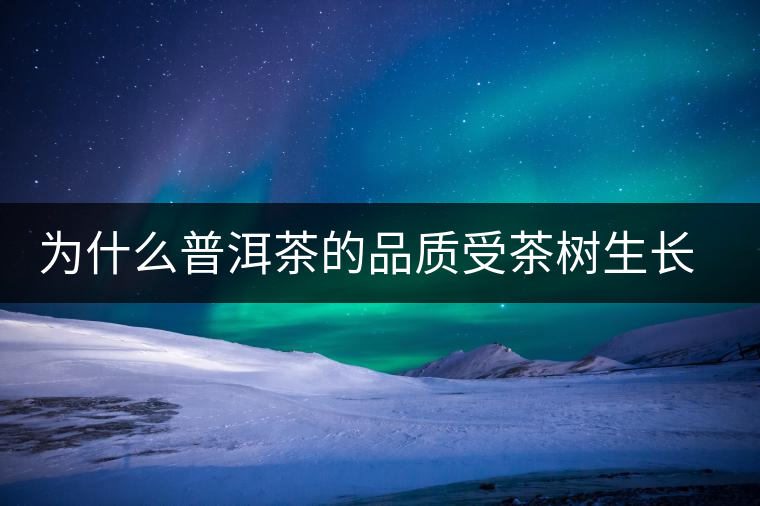 為什么普洱茶的品質受茶樹生長環(huán)境的影響？