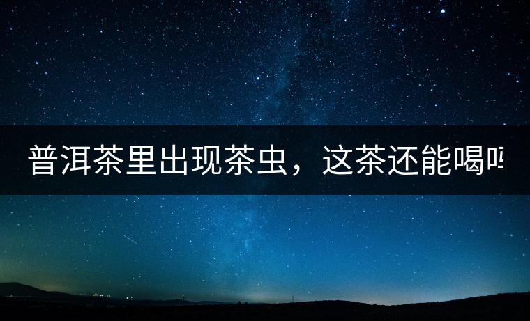 普洱茶里出現(xiàn)茶蟲，這茶還能喝嗎？