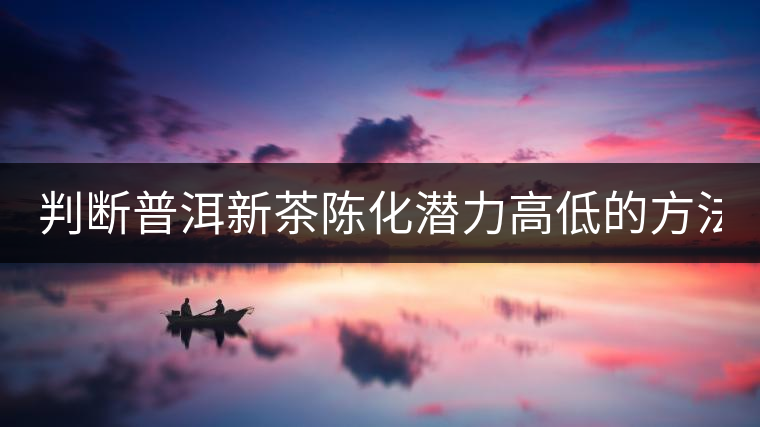 判斷普洱新茶陳化潛力高低的方法！