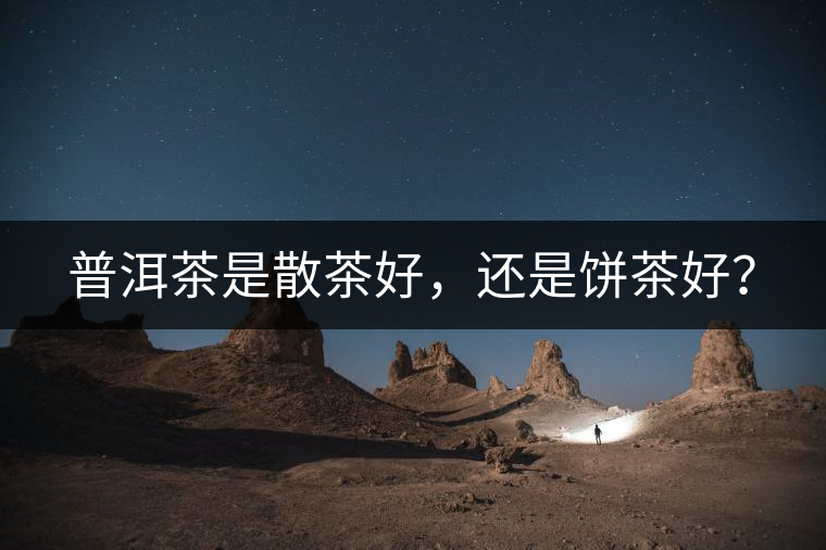 普洱茶是散茶好，還是餅茶好？