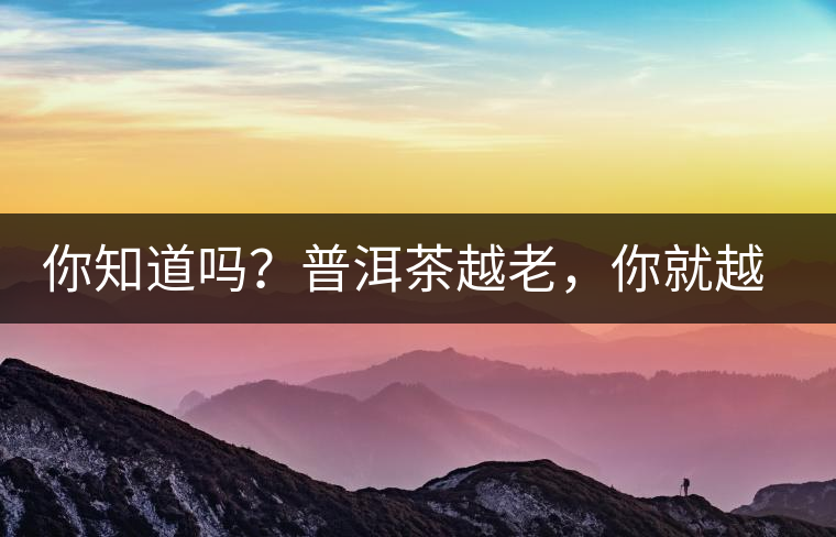你知道嗎？普洱茶越老，你就越年輕