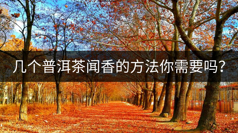 幾個普洱茶聞香的方法你需要嗎？