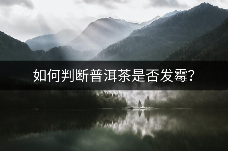如何判斷普洱茶是否發(fā)霉? 如何判斷普洱茶是否發(fā)霉?