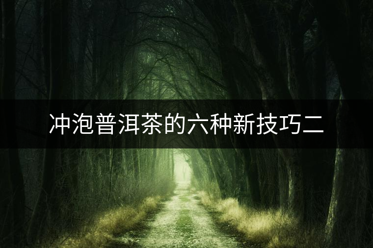 沖泡普洱茶的六種新技巧二
