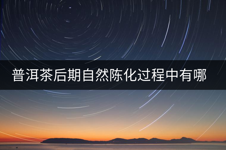 普洱茶后期自然陳化過程中有哪些變化？
